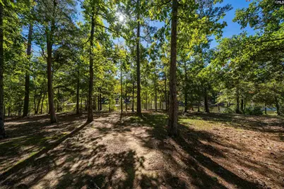 358 Shelter Bay Drive, Prosperity, SC 29127 - Photo 30