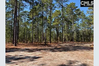 1414 Martin Smith Road, Leesville, SC 29070 - Photo 20