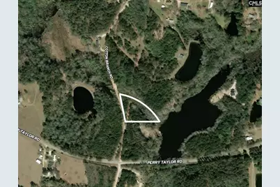 Tbd Cotton Branch Road, Leesville, SC 29070 - Photo 1
