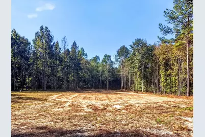 255 Riley Road, Saint Matthews, SC 29135 - Photo 20