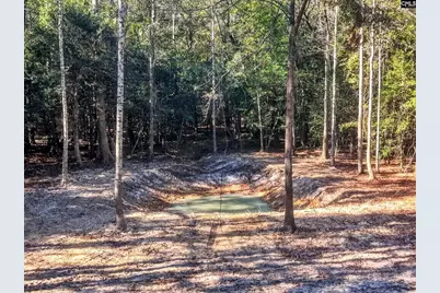 255 Riley Road, Saint Matthews, SC 29135 - Photo 24