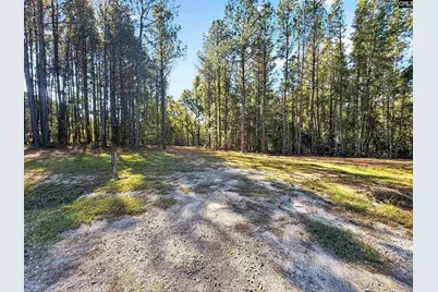 255 Riley Road, Saint Matthews, SC 29135 - Photo 16