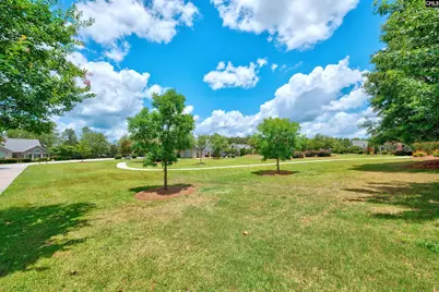 125 Peach Grove Circle, Elgin, SC 29045 - Photo 32