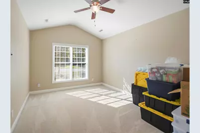 818 Leyland Cypress Court, Blythewood, SC 29016 - Photo 20