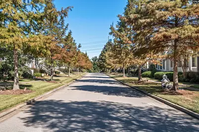 154 Glade Spring Drive, Lexington, SC 29072 - Photo 38