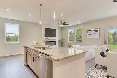 24 Healy Way, Blythewood, SC 29016 - Photo 6