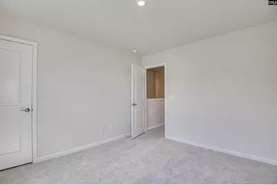 231 Engineer Lane, Irmo, SC 29063 - Photo 24