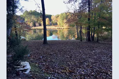 440 Cedar Lakes Drive, Blythewood, SC 29016 - Photo 70