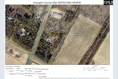 0 Edmund Highway, Pelion, SC 29123 - Photo 12