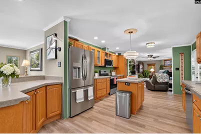 206 High Hill Farm Court, Saint Matthews, SC 29135 - Photo 6