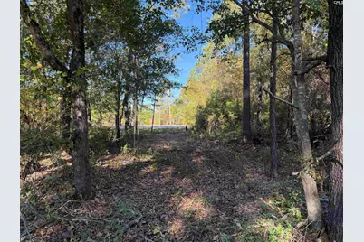 1626 Porter Road, Cassatt, SC 29032 - Photo 2