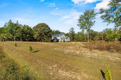 521 Water Tank Road, Pelion, SC 29123 - Photo 8