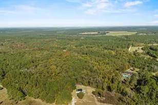 521 Water Tank Rd, Pelion, SC 29123 - Photo 4