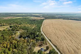 521 Water Tank Rd, Pelion, SC 29123 - Photo 6