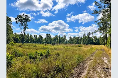 316 Ennis Road, Bowman, SC 29018 - Photo 1