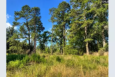 316 Ennis Road, Bowman, SC 29018 - Photo 4