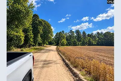 316 Ennis Road, Bowman, SC 29018 - Photo 6