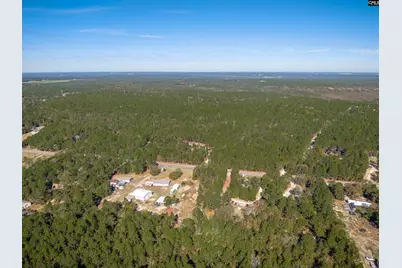 882 Crystal Springs Drive, Pelion, SC 29213 - Photo 8