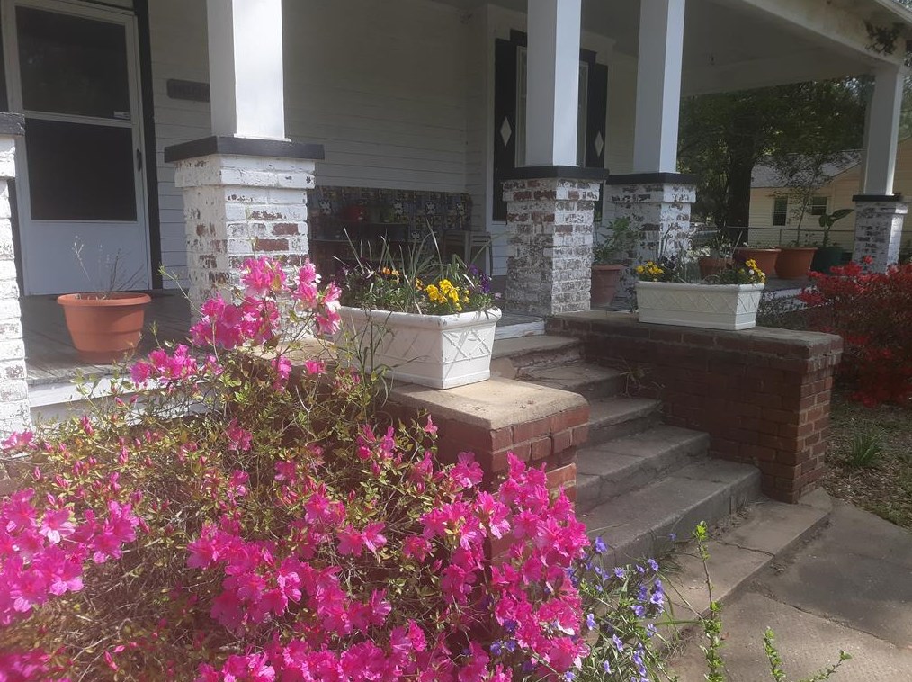371 Pascallas St, Blackville, SC 29817
