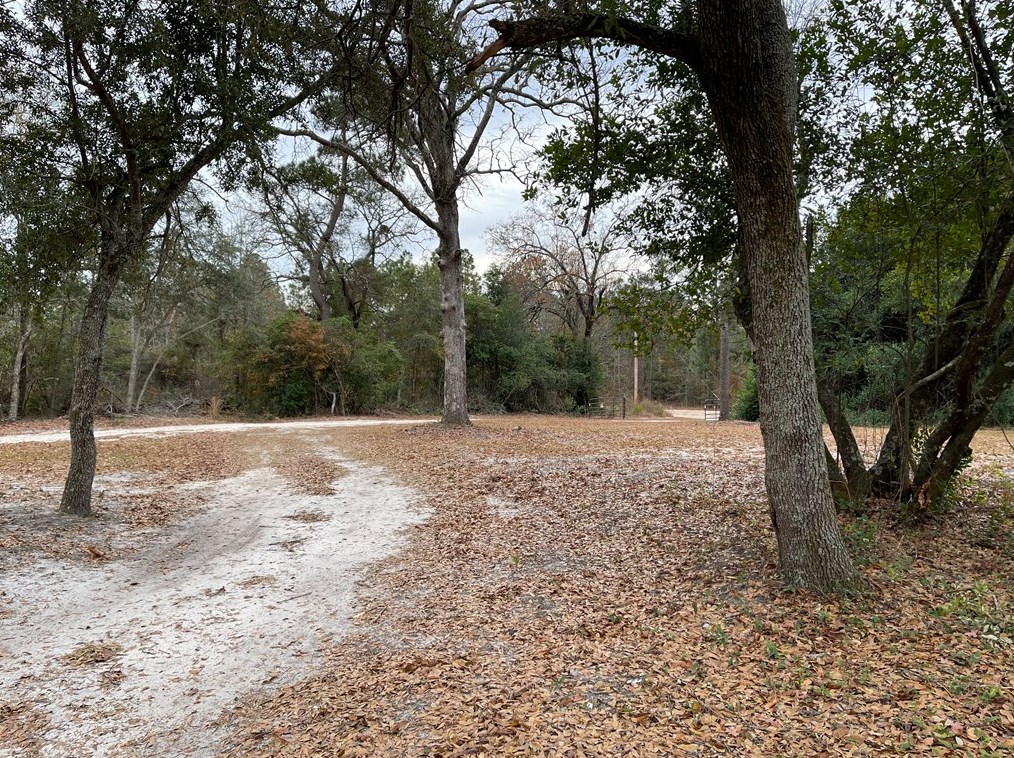 46 Wren Rd, Windsor, SC 29856