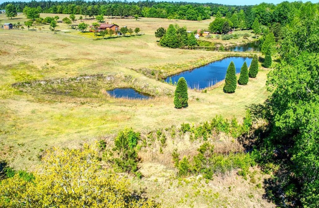 717 Redds Branch Rd, Aiken, SC 29801
