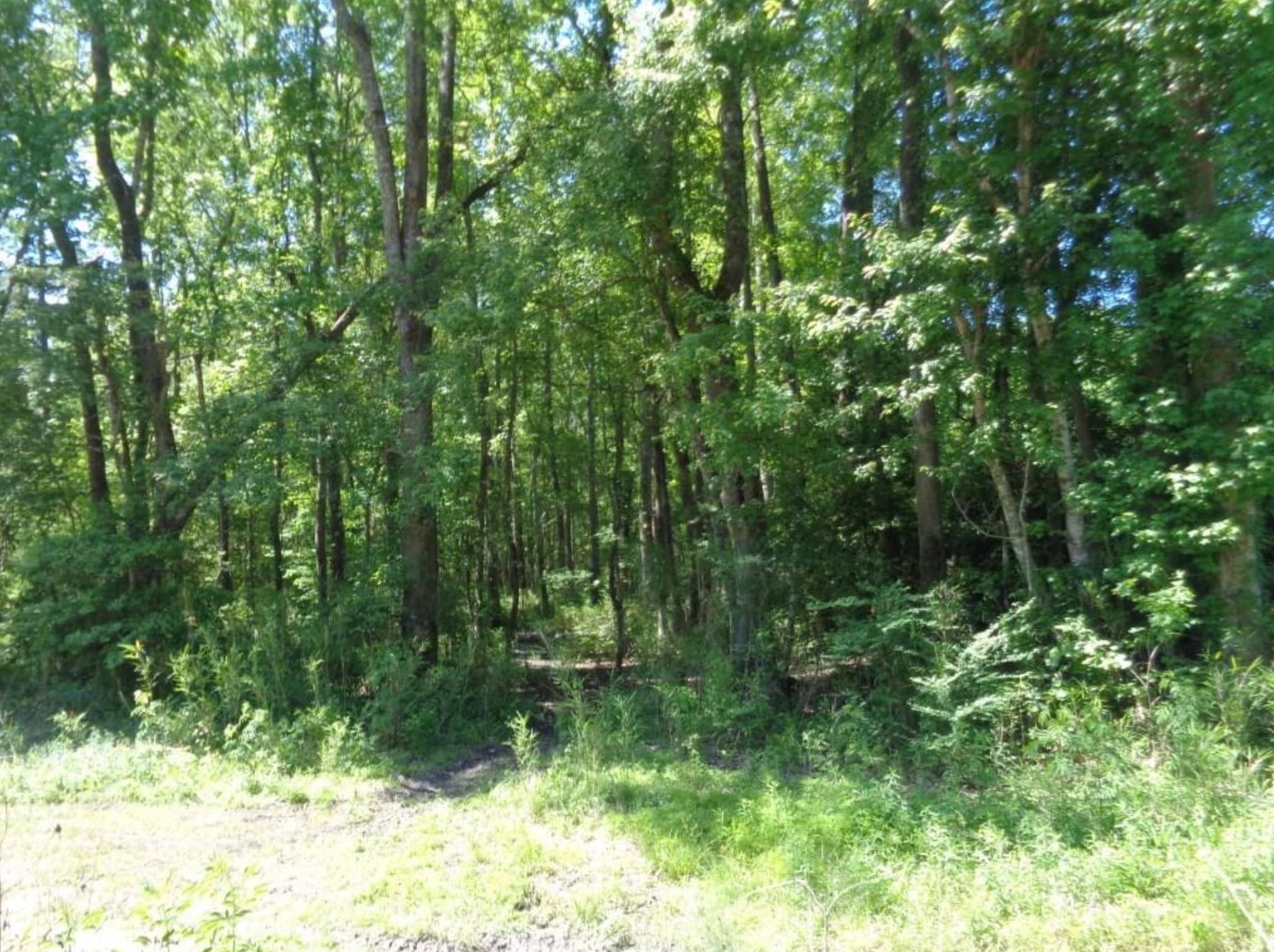 1059 Hwy 61, Ridgeville, SC 29472