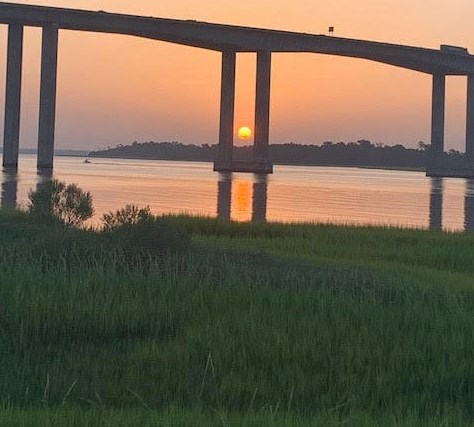 145 Pier View St, Charleston SC  29492-8463 exterior