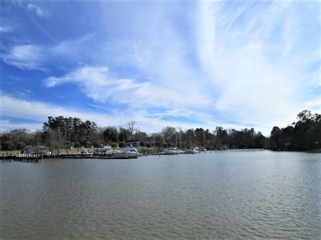 244 Lake Marion Ln, Vance, SC 29163