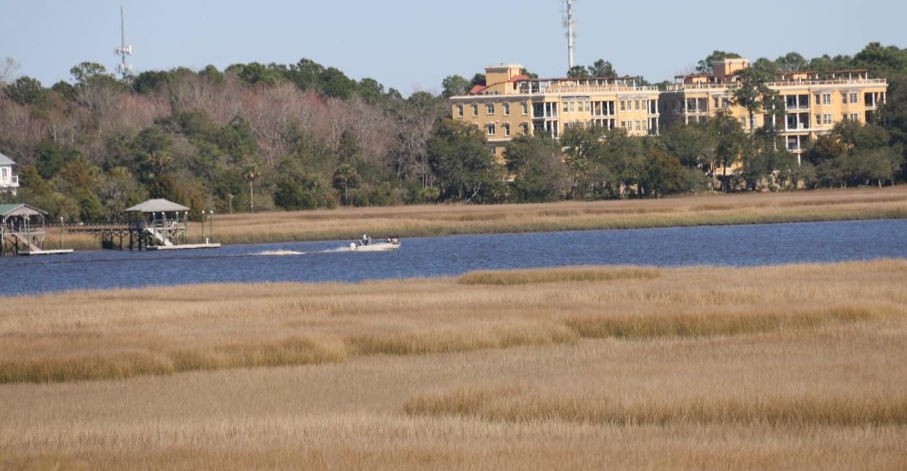 1608 Fiddler Crab Way, Charleston, SC 29414-6357