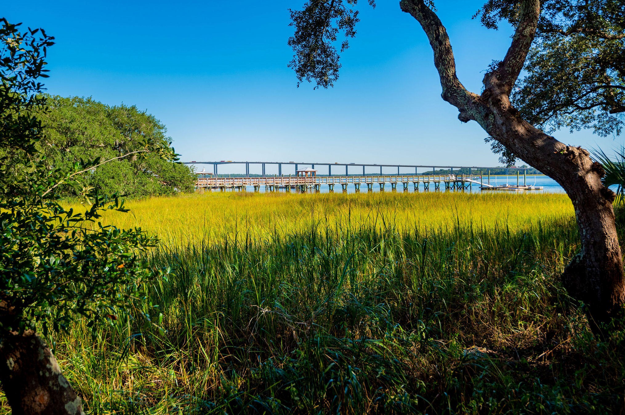 1402 Smythe St, Charleston, SC 29492-8486