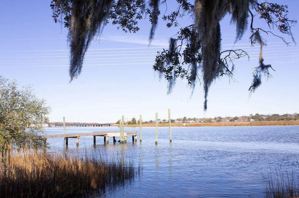 2321 Treescape Dr, Charleston SC  29414-6506 exterior