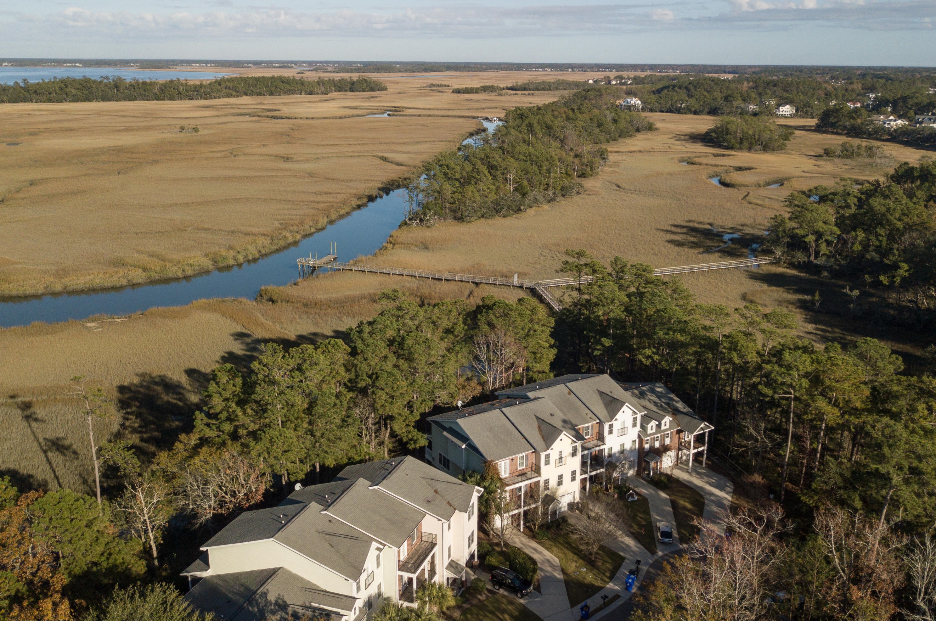 132 Winding Creek Ct, Mount Pleasant, SC 29464-7945