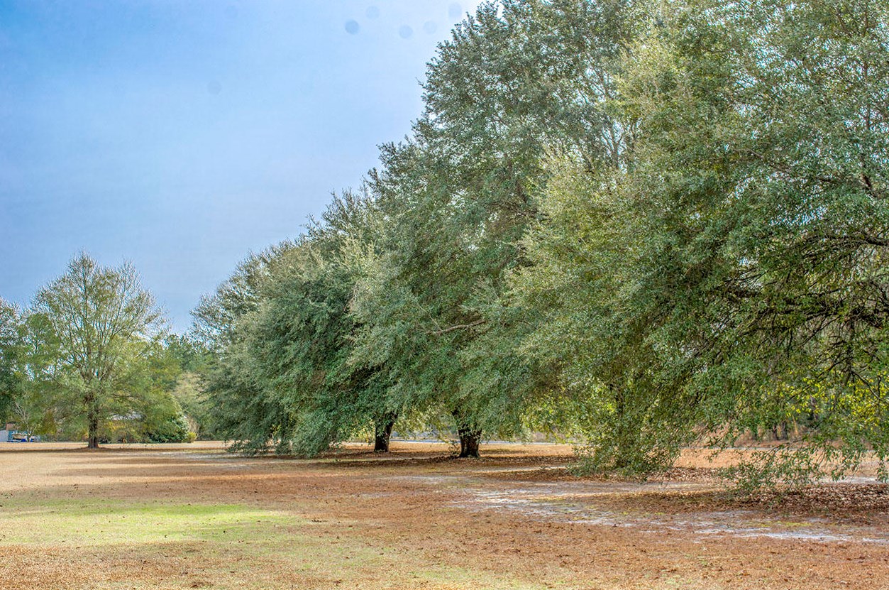 85 Sandy Springs Cir, Walterboro, SC 29488-4579