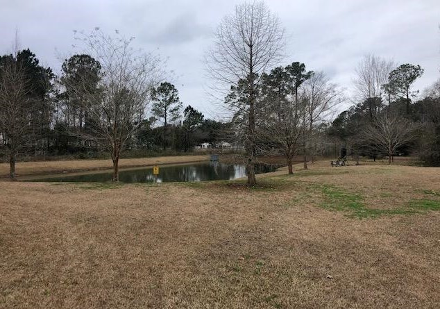 141 Saint Charles Way, Charleston, SC 29445-3660