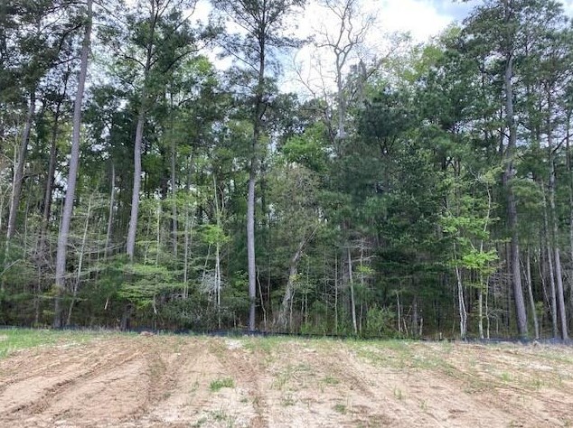 563 Abigail St, Moncks Corner SC  29461 exterior