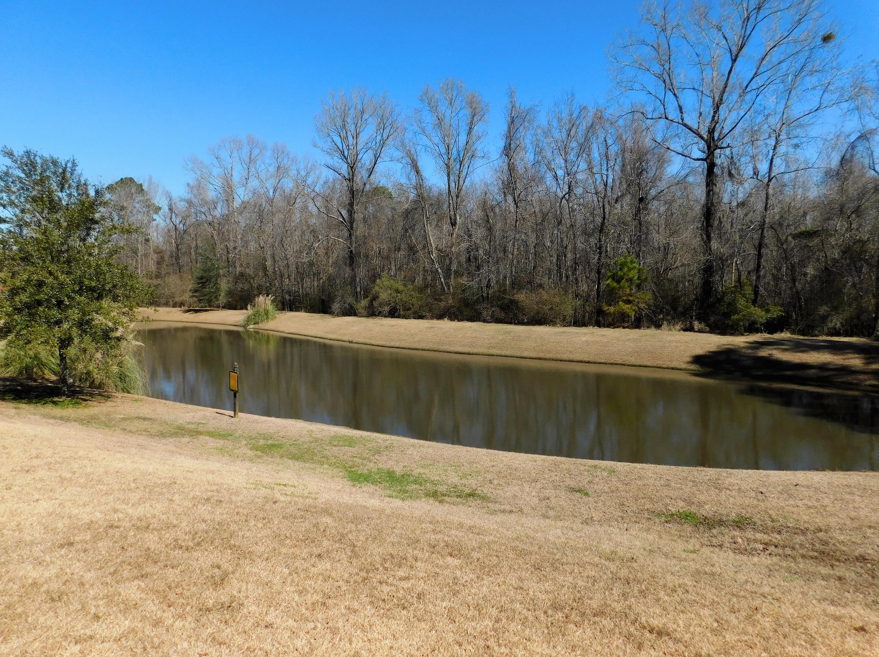 304 Clayburne Dr, Charleston, SC 29445-3493