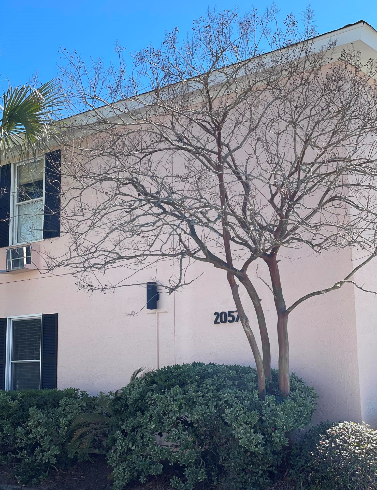 2057 Middle St #6, Sullivans Island, SC 29482
