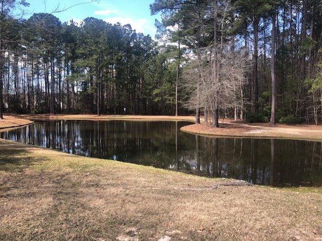 9111 Fieldstone Trce, Summerville, SC 29485-8738