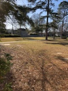 68 Indigo Ln, Charleston SC  29445-5426 exterior