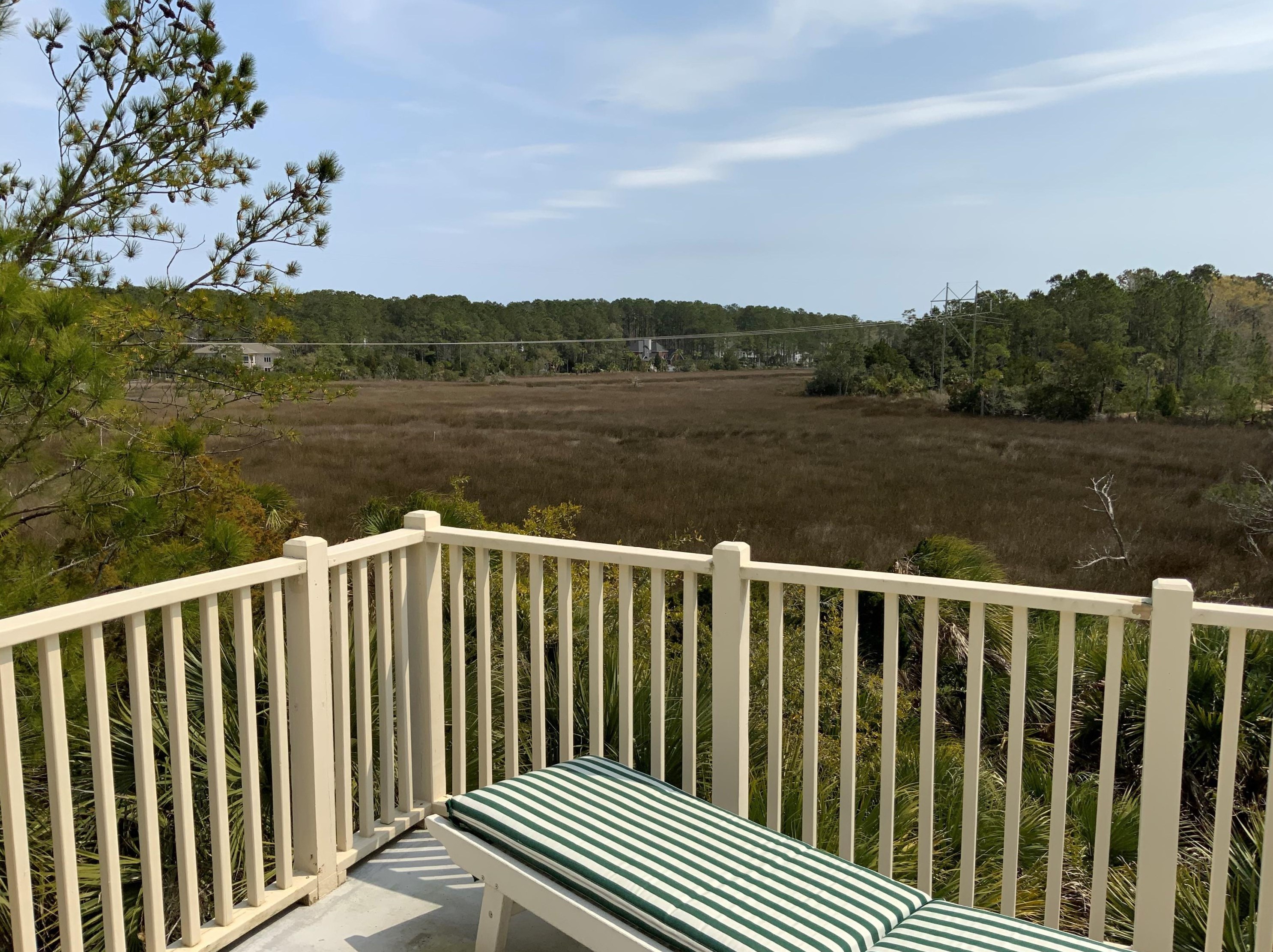 160 Palm Cove Way, Mount Pleasant SC  29466-8160 exterior