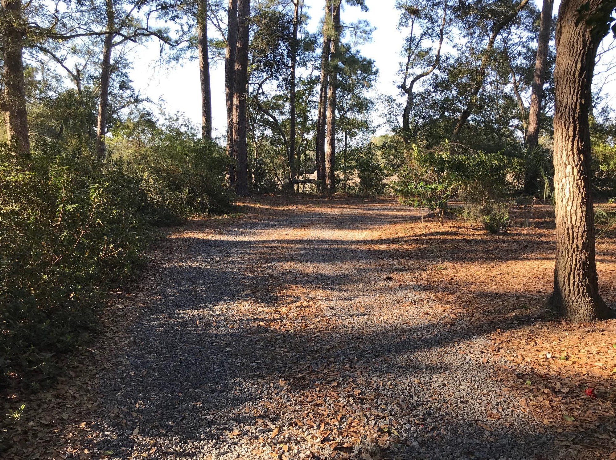 8532 Pope Landing Rd, Edisto, SC 29438-6624