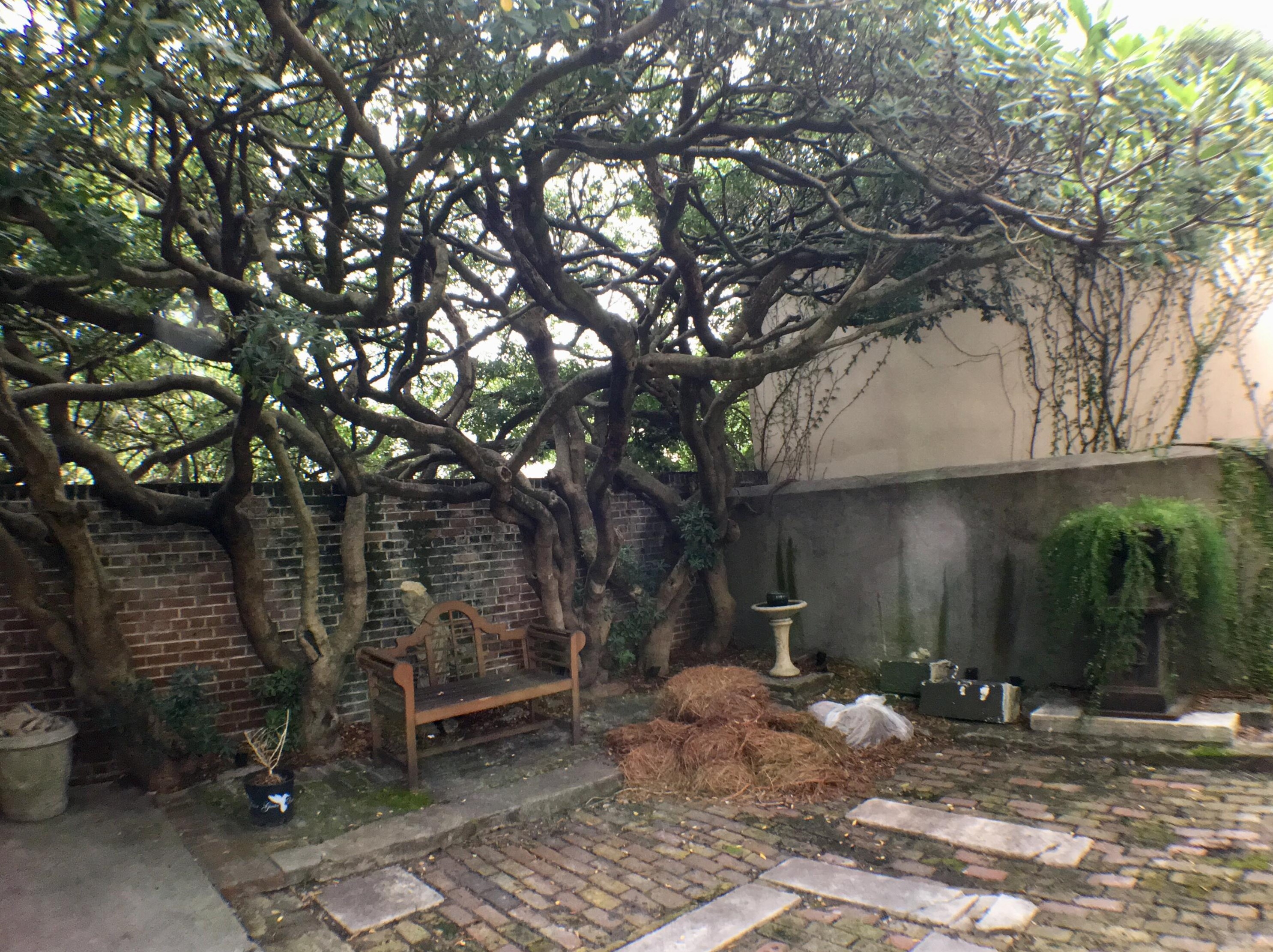 313 Meeting St Unit 23, Charleston, SC 29401