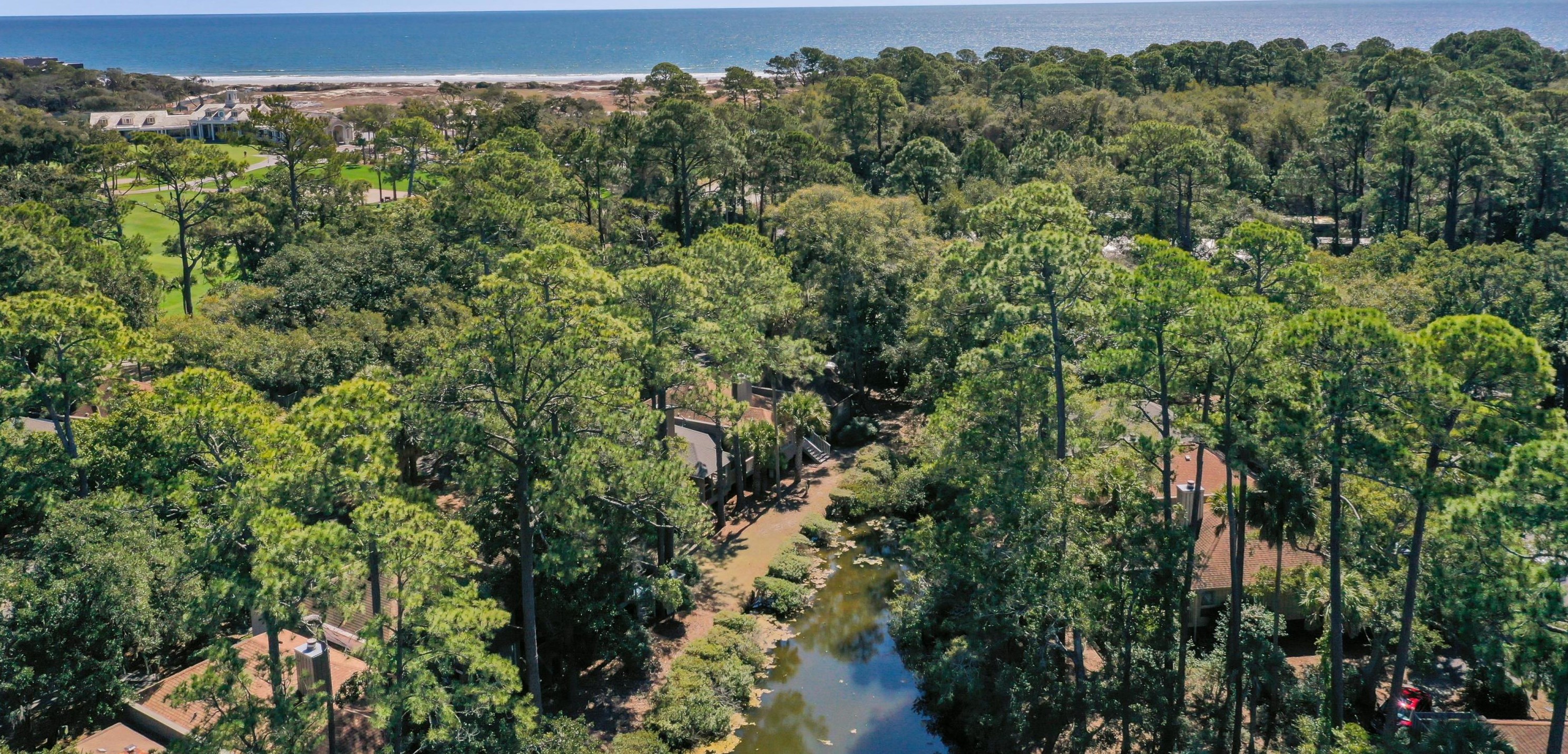 1215 Flying Squirrel Ct, Johns Island, SC 29455