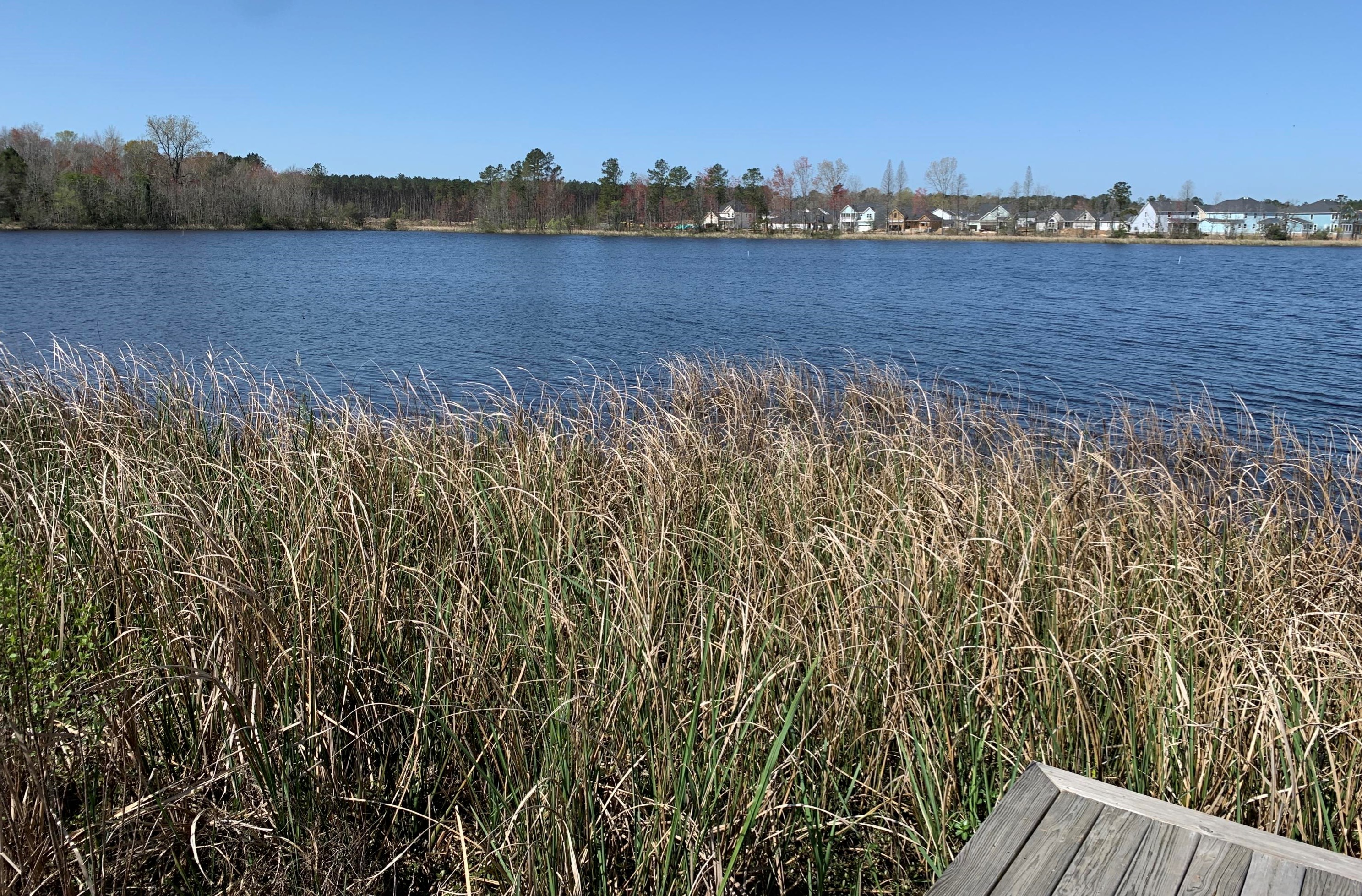 133 Yorkshire Dr, Moncks Corner SC  29461 exterior