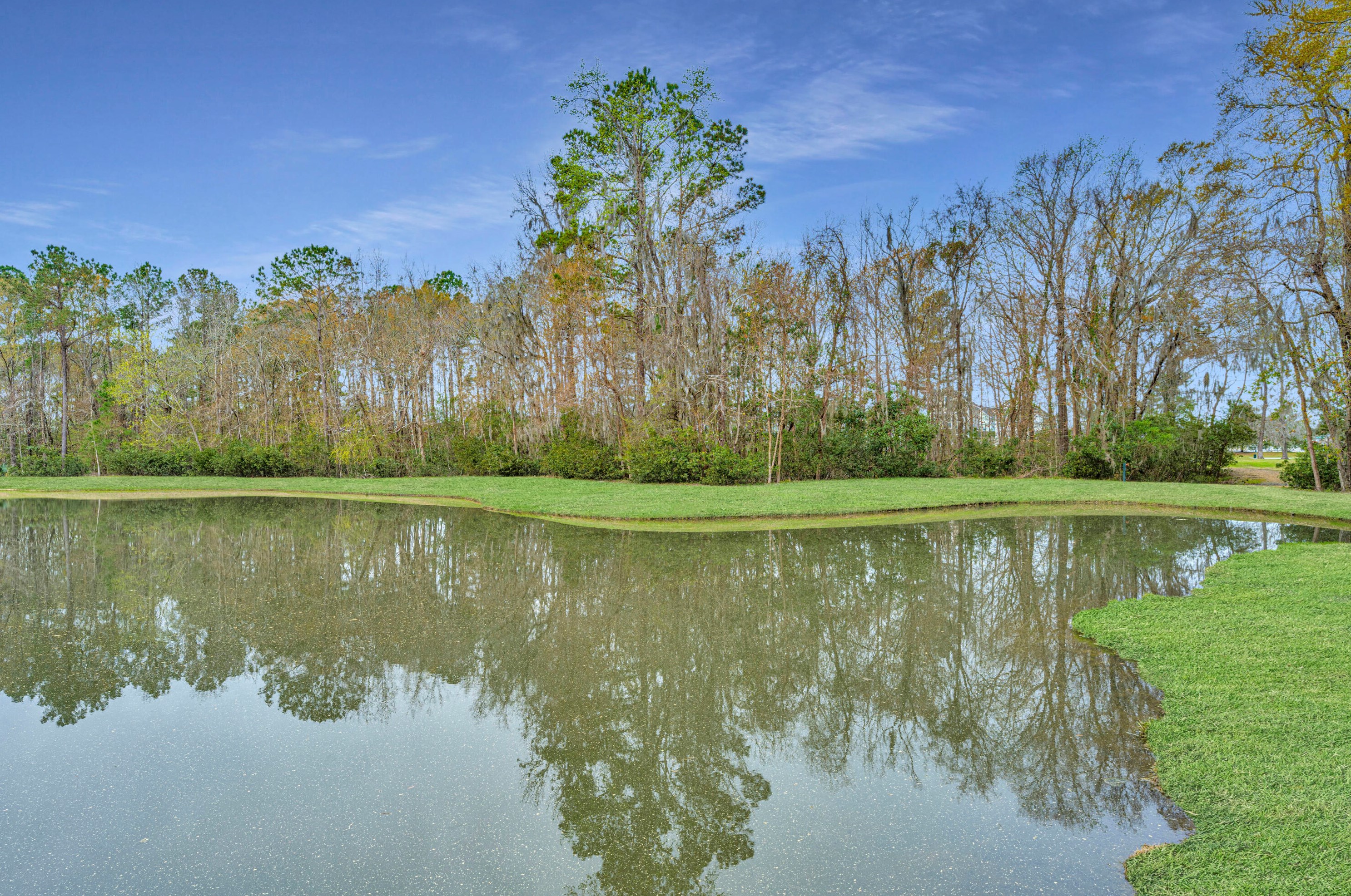 746 Certificate Ct, Charleston, SC 29414-9117
