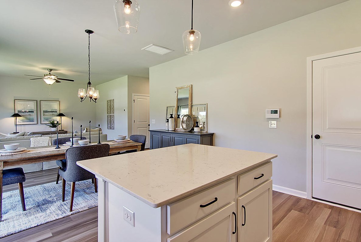 553 Abigail St, Moncks Corner SC  29461 exterior