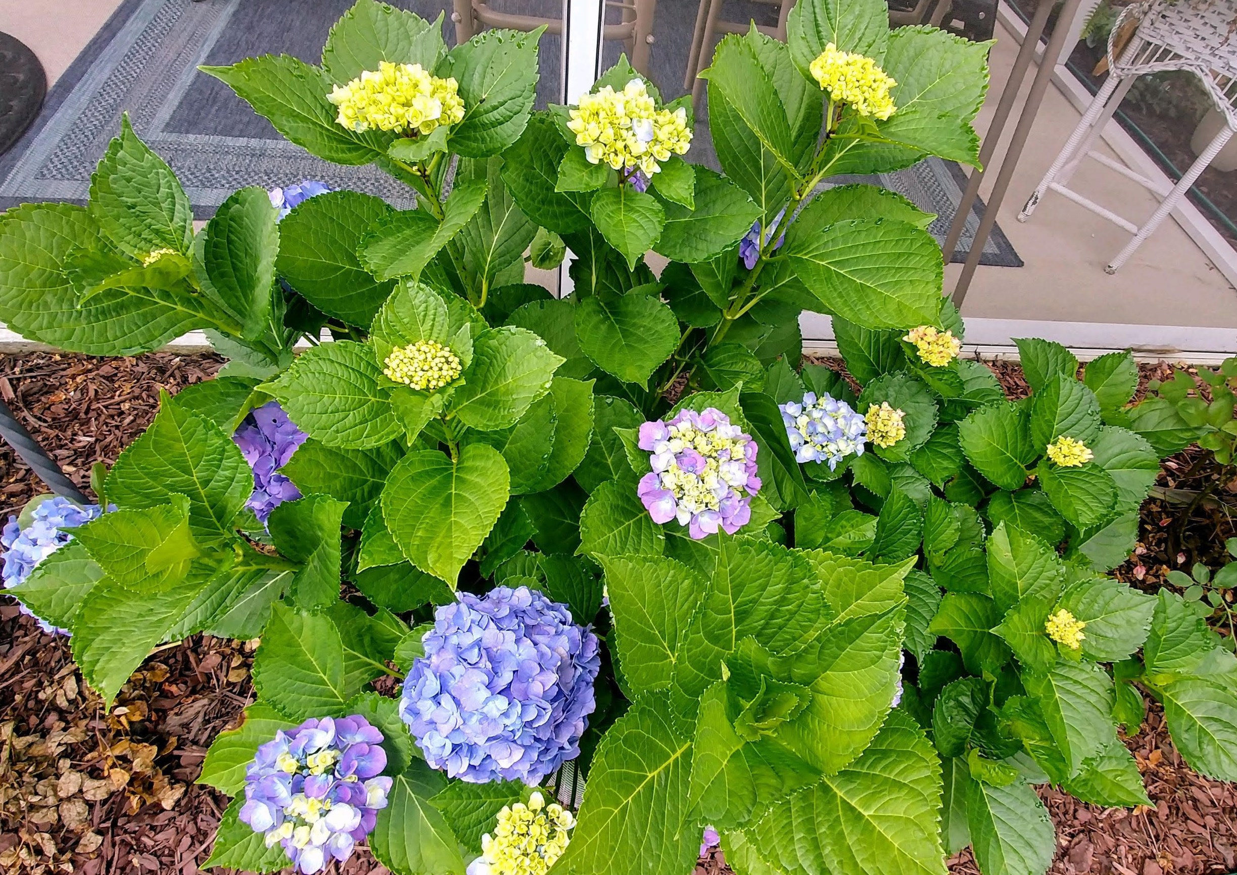 483 Whispering Breeze Ln, Summerville SC  29486 exterior