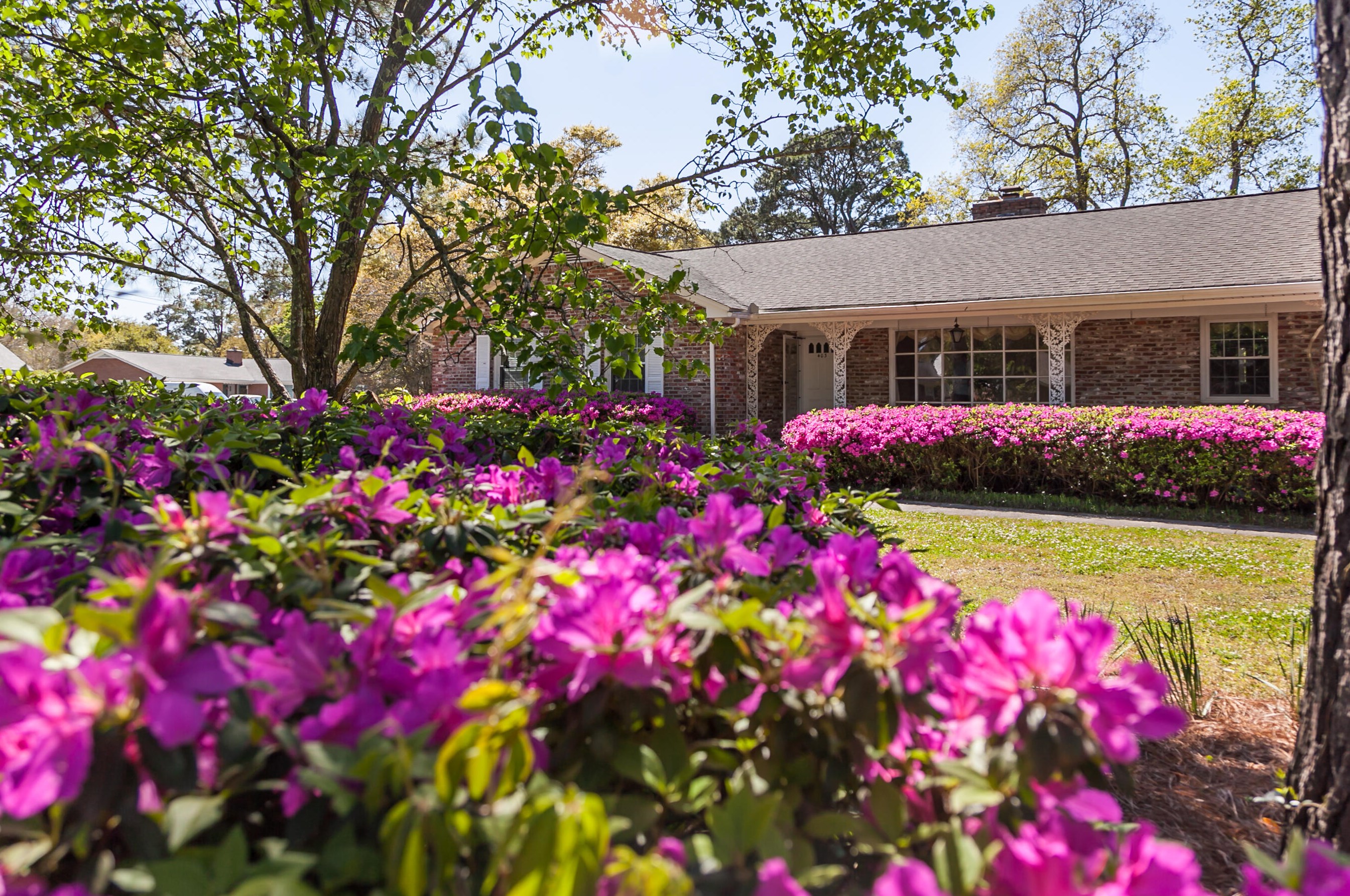 403 Rotherwood Dr, Charleston, SC 29407-6931