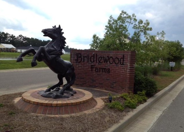 2103 Bridlewood Farms Pkwy, Ridgeville, SC 29472