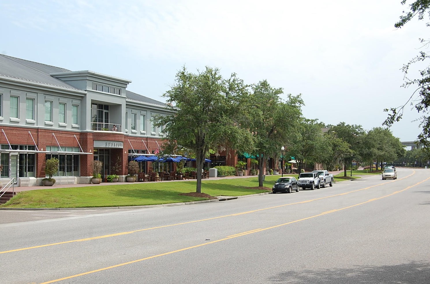 145 Pier View St, Charleston SC  29492-8463 exterior